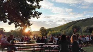 Abendstimmung mit vielen Menschen beim Uferweinfest