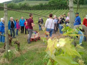 Menschen im Weinberg