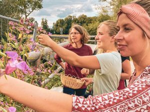 Drei Frauen beim Kräutersammeln