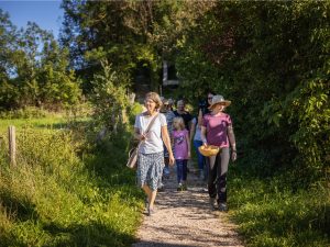 Gruppe bei Kräuterspaziergang