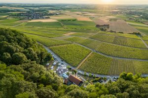 Weinlandschaft