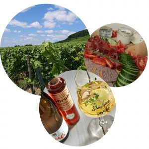 Drei Bilder, Weinlandschaft, Brotzeit und Weinverkostung